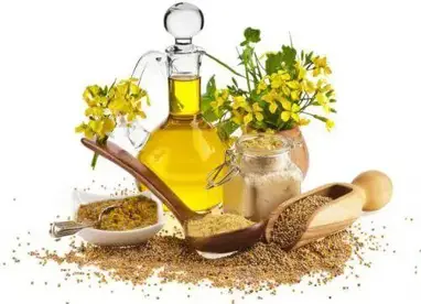 How To Clean Ears At Home Naturally 7 Natural Remedies 2019