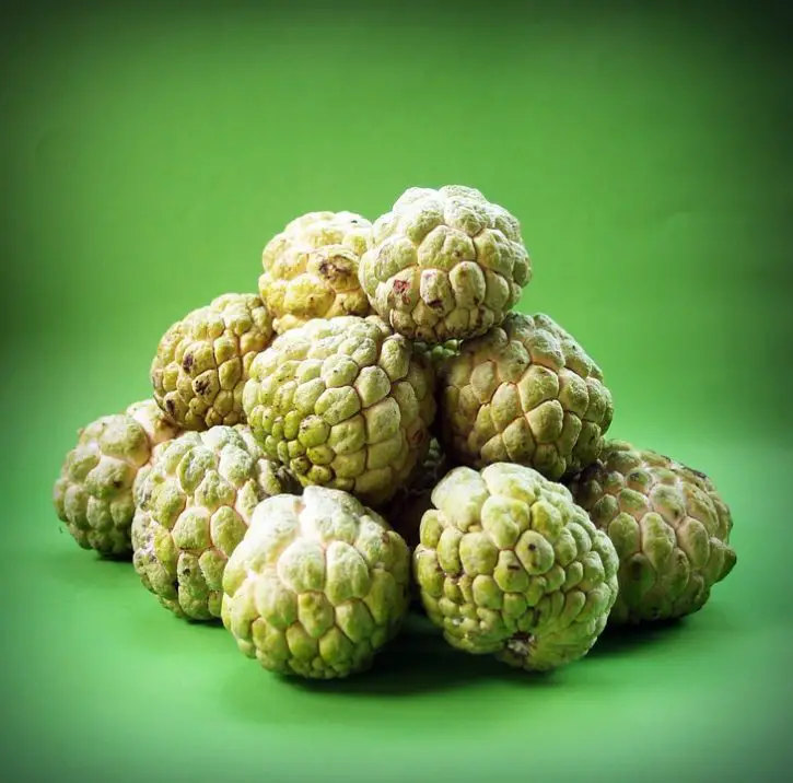 Cherimoya Benefits - Tree, Seeds and How to Eat