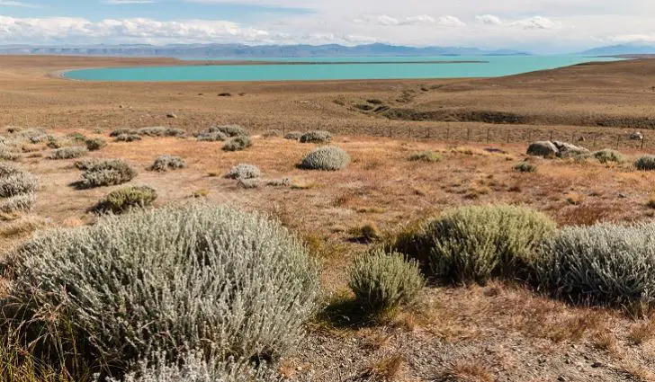 patagonian-desert