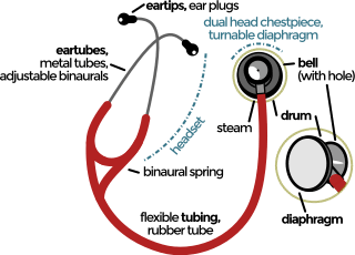 The Best Littmann Stethoscopes - Comparison Guide