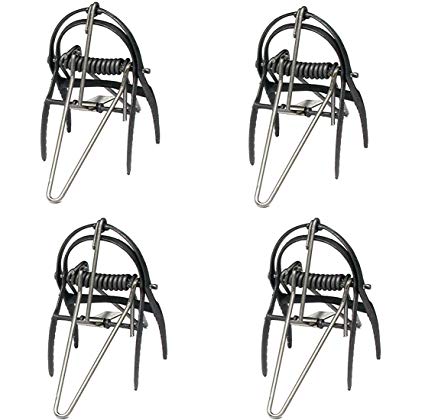 Best Mole Traps Reviewed
