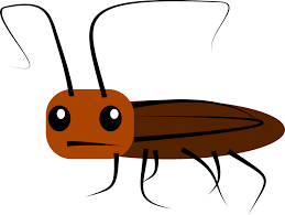 Dream About Cockroaches