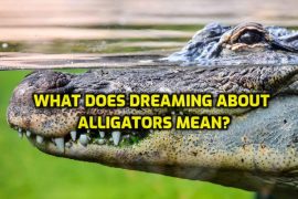 What Does Dreaming About Alligators Mean?