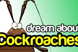 What Does It Mean When You Dream About Cockroaches