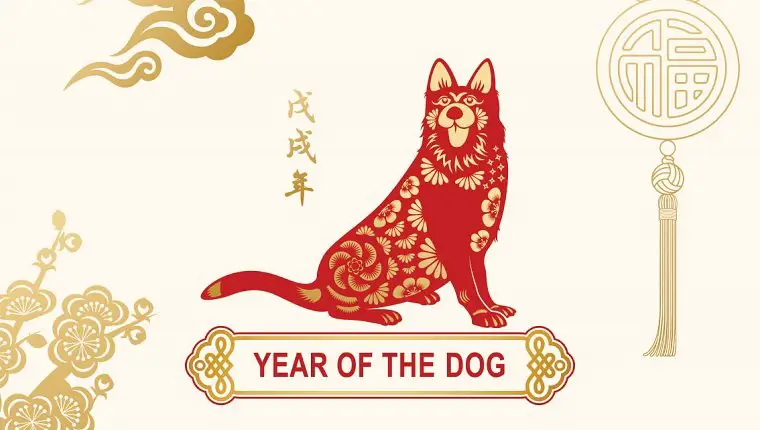 Chinese Zodiac Dog Compatibility - Who Fits Dog Relationship - Love