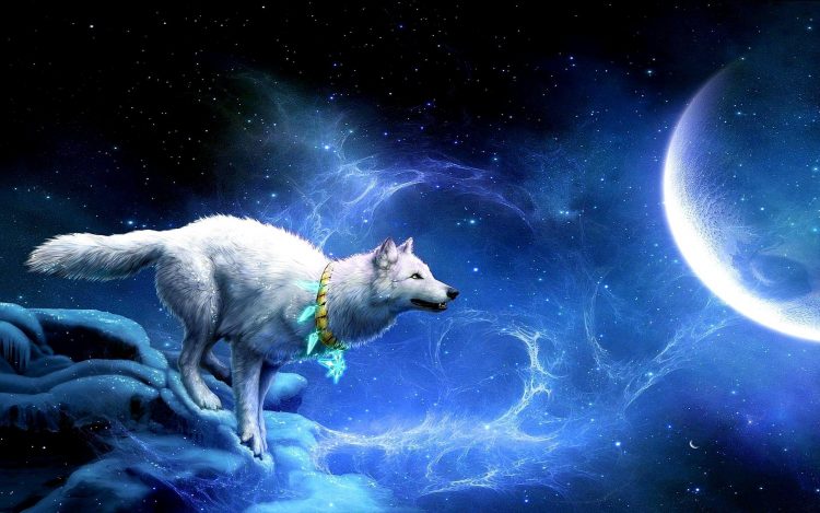 Totem Animals | Spirit Animal, Symbolism and Meaning