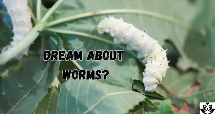 What Does It Mean When You Dream About Worms