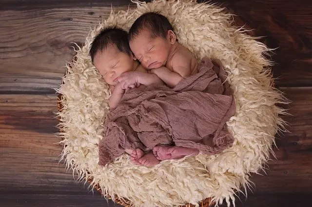 What Does It Mean When You Dream About Having Twins?