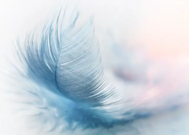 Feather Meaning In The Bible - Love And Protection