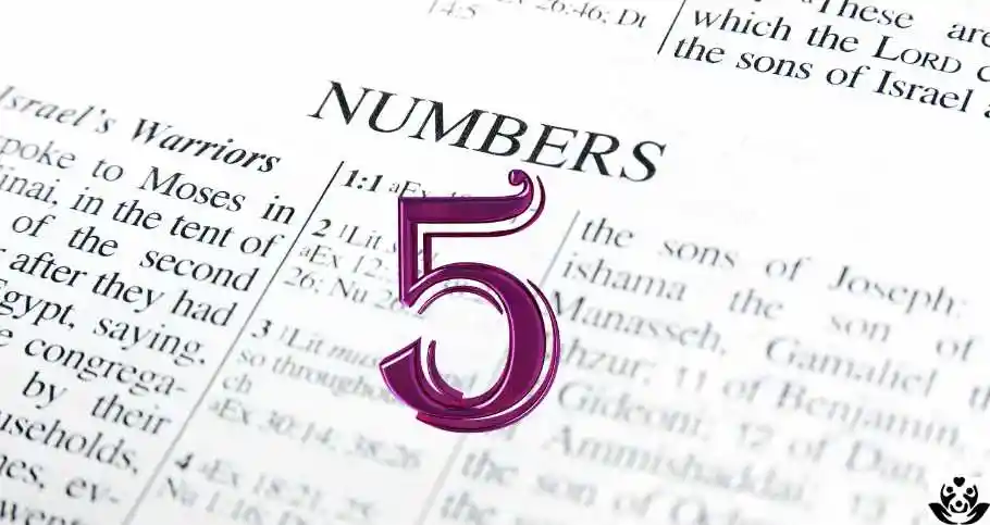 What Do Number 5 Mean In The Bible