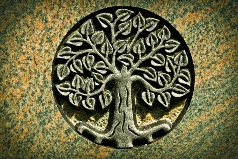 What Does The Tree Of Life Mean (2024) Meaning, Symbol, Bible