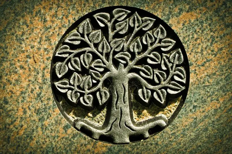 THE MEANING OF THE TREE OF LIFE