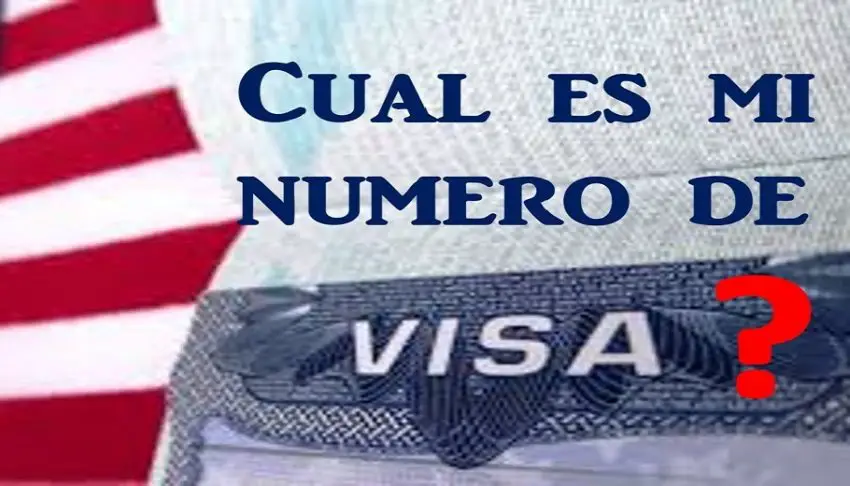 ¿Cuál es mi número de visa americana? - Te mostramos