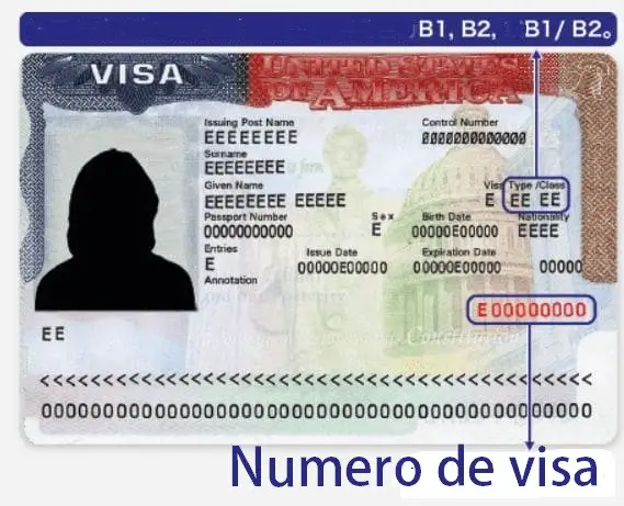 Cuál es mi número de visa