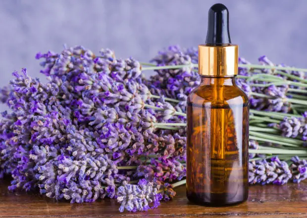 Lavender essential oil