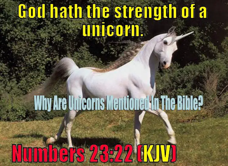Why Are Unicorns Mentioned In The Bible?