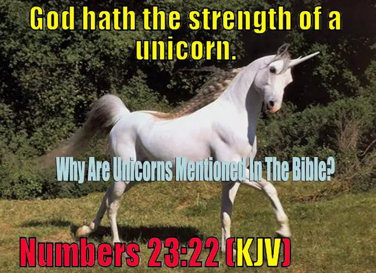 Why are unicorns mentioned in the Bible?