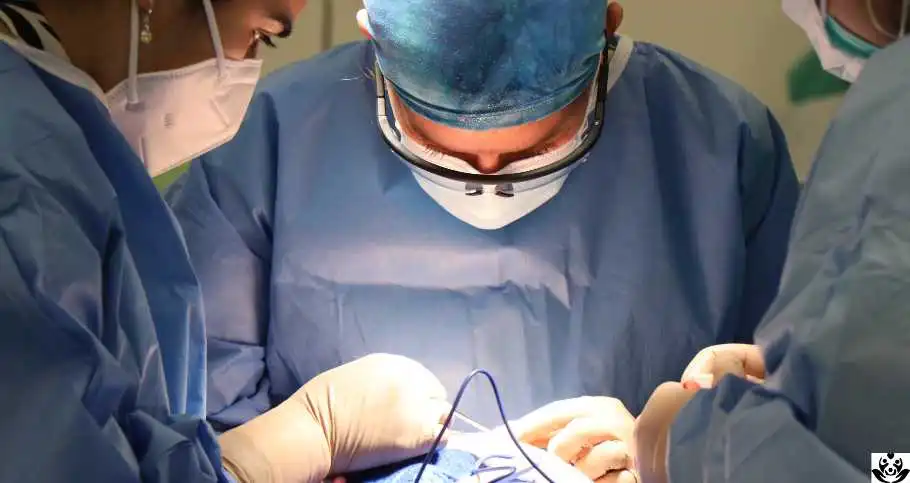 cuanto cuesta una rinoplastia -cirujano