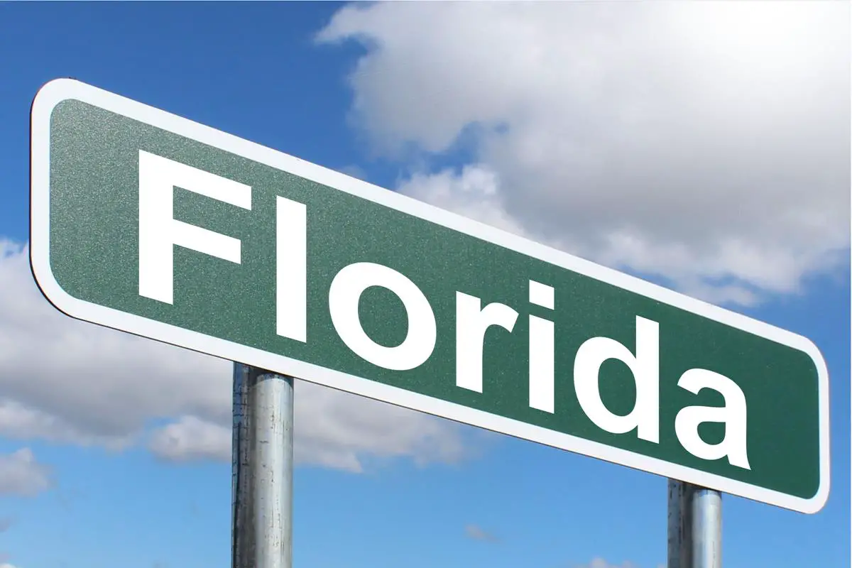 Licencia de conducir para turistas en Florida