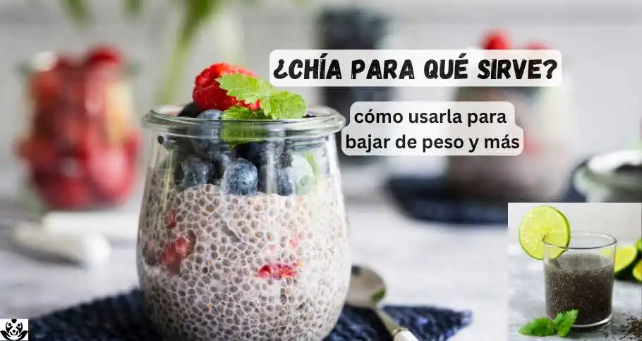 chia para que sirve