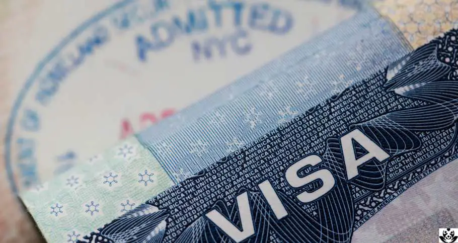 Porque Niegan la Visa U: Guía completa que pasa si te niegan la Visa U y que hacer