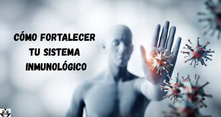 Como Fortalecer el Sistema Inmunológico de Forma Natural – 23 Remedios Caseros