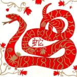 snake chinese zodiac compatibility