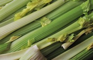 benefits of celery water