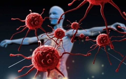 El sistema inmunológico: las enfermedades que lo afectan y cómo fortalecerlo