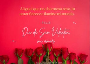 frases cortas feliz dia de san valentin