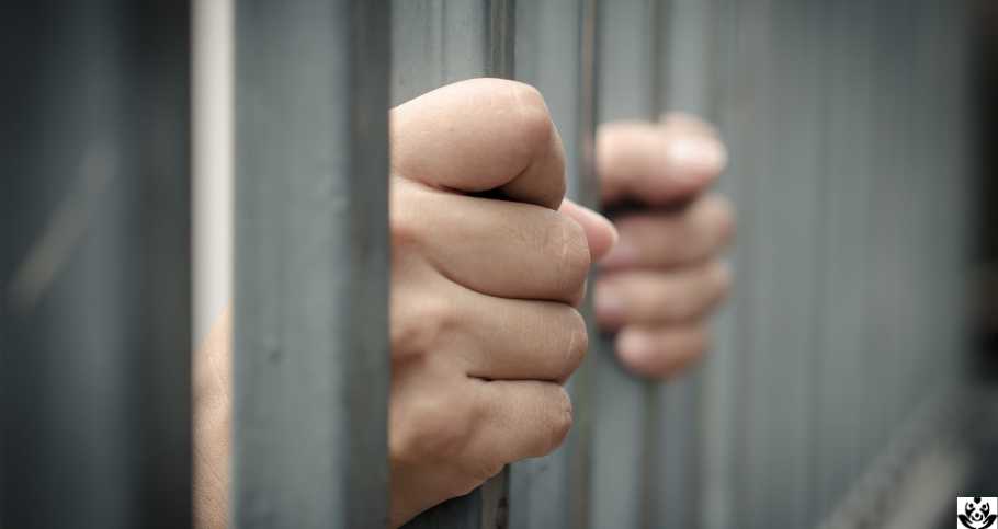¿Cómo buscar migrantes detenidos en Texas o en la frontera? Guía completa y gratuita 2025